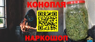ГАЛЛЮЦИНОГЕННЫЕ ГРИБЫ Тулун