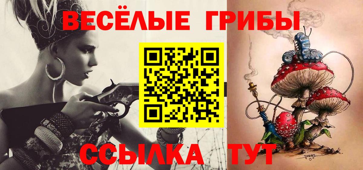 Галлюциногенные грибы Magic Shrooms Новокубанск